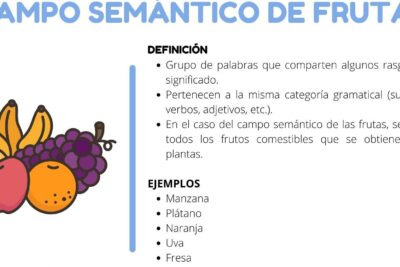 campo semantico de frutas explorando las delicias del lenguaje
