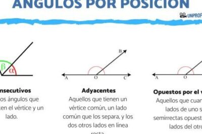 clasificacion de angulos por posicion guia esencial