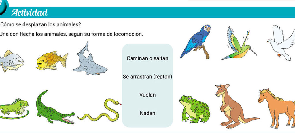 Clasificación de los animales según su desplazamiento: Exploradores del reino animal 1 clasificacion de los animales segun su desplazamiento exploradores del reino animal
