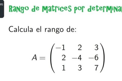 como conocer el rango de una matriz con determinantes matrices y determinantes