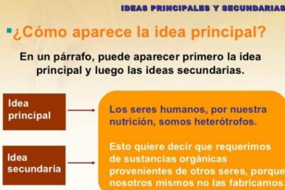 como identificar ideas principales y secundarias de un texto estrategias de lectura
