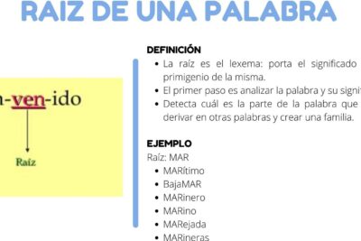 como identificar la raiz de una palabra linguistica basica