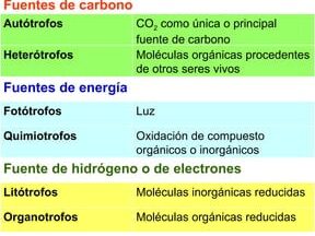 cuadro autotrofo heterotrofo y fototrofo quimiotrofo conceptos clave