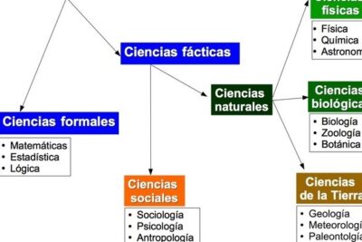 explorando las ciencias naturales disciplina y descubrimiento