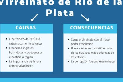 virreinato del rio de la plata causas y consecuencias examinadas