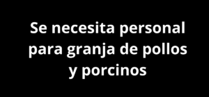 Se necesita personal para granja de pollos y porcinos