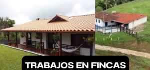 Empleos en Fincas